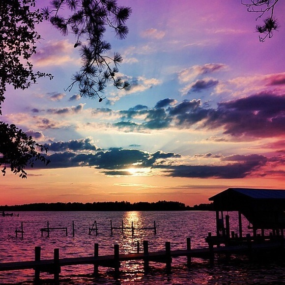 Background - Picture 1 of 1