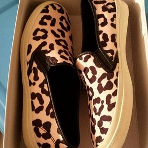 coach sneakers leopard print