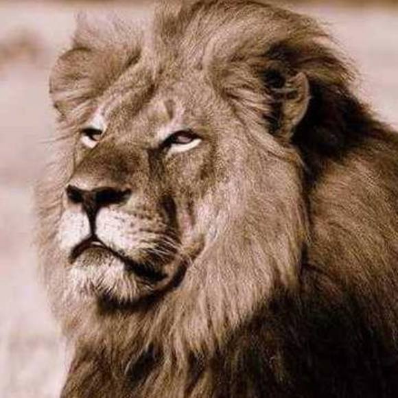 Meet your Posher, Jonel - Picture 1 of 1