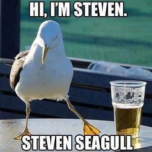 Meet your Posher, Evan