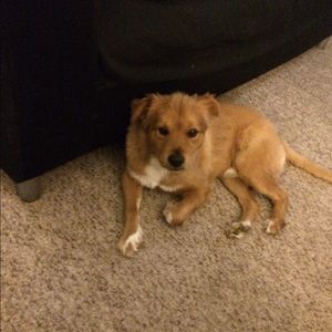 Meet your Posher, Sabrina