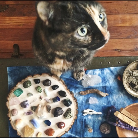 Hi! I'm Paige • 26, Aries, little lady - Picture 4 of 4