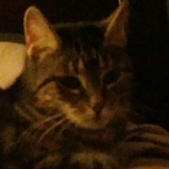 Meet your Posher, Jose - Picture 1 of 1