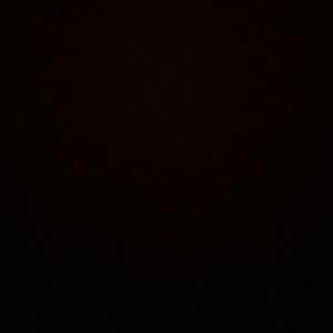 Meet your Posher, Jada