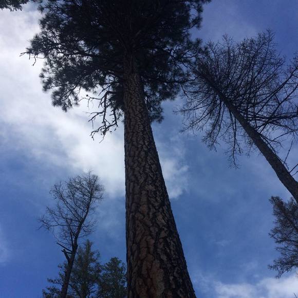 Meet your Posher, Terra - Picture 1 of 1