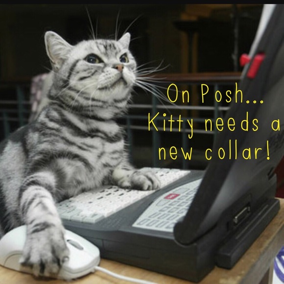 Feline Funnies - Picture 2 of 4