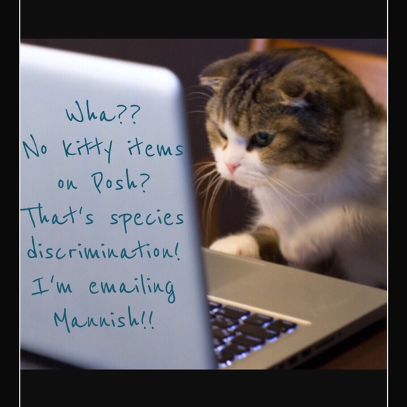 Feline Funnies - Picture 4 of 4