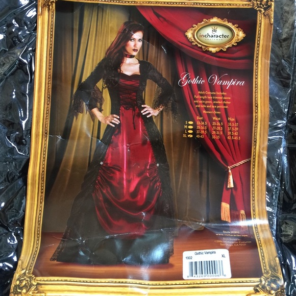 Halloween costume only worn once. Good quality.