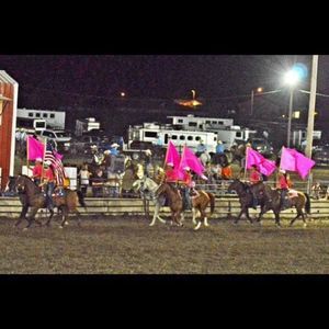 Meet your Posher, Morgan