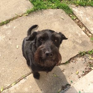 Meet your Posher, Eden