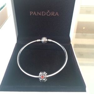 Pandora Bracelet and bead