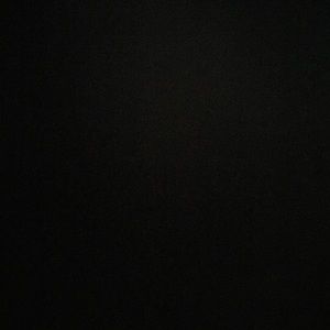 Meet your Posher, Bailey