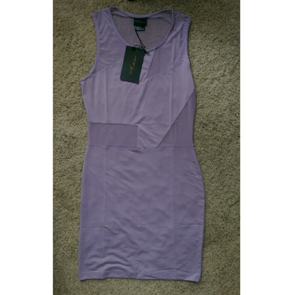 REDUCED!! Lavender Mesh Cutout Bodycon Dress - Picture 4 of 4