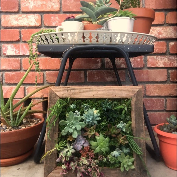 Hi, I'm Adiel! [@rosegoldlining on Instagram] - Picture 5 of 8