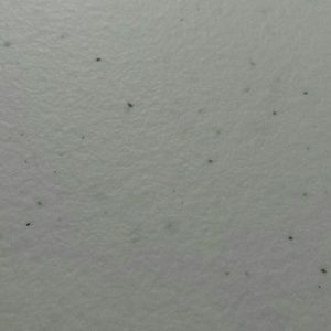 Meet your Posher, Adriana