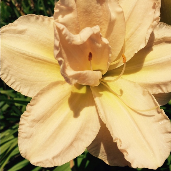 Meet your Posher, Lyna