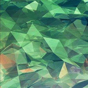 Meet your Posher, Dianne