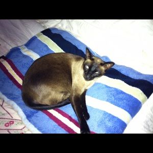 Meet your Posher, Amy