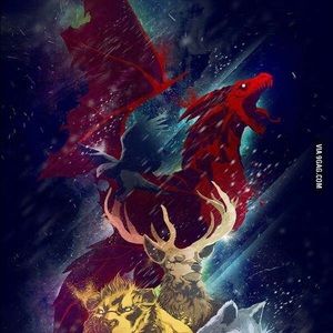 Meet your Posher, Rob