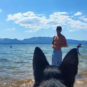 Meet your Posher, Dylan