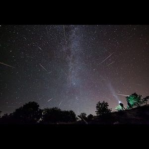 Meet your Posher, Phillip