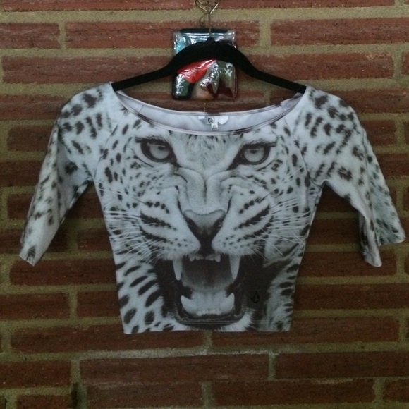 Leopard face top