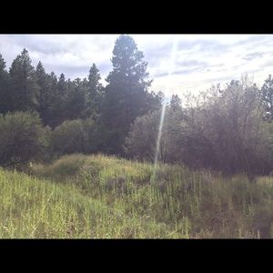 Meet your Posher, Katelyn