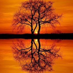 Meet your Posher, Safrona