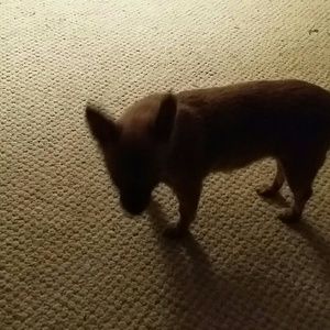 Meet your Posher, Marcia