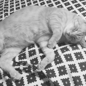 Meet your Posher, Sanela