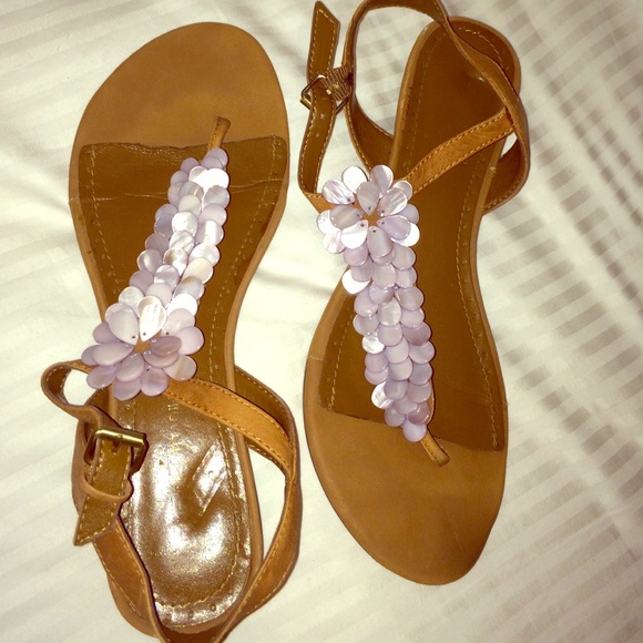 Shell thong sandal heel