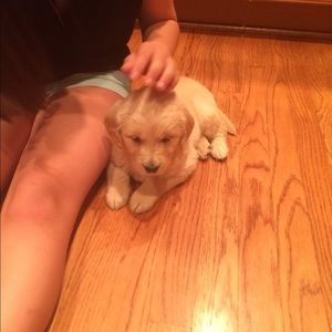 Meet your Posher, Susan