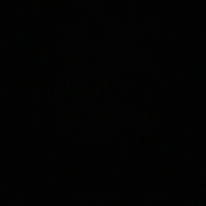 Meet your Posher, Gianna