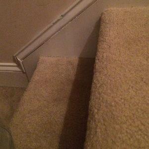 Meet your Posher, Tamara