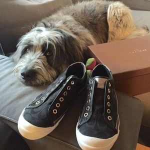 Coach black/white/silver no lace sneakers with box