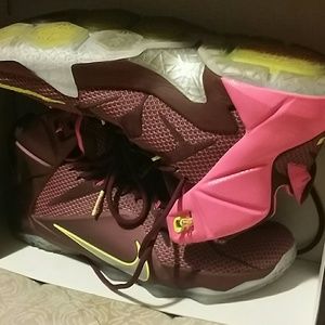 LeBron xll