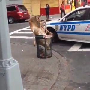 Meet your Posher, Bryan