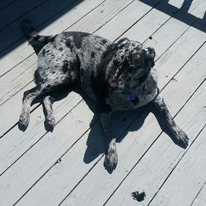 Meet your Posher, Katelynn