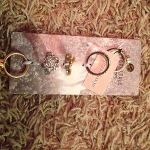 Aerospastle Set of Rings