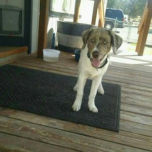 Meet your Posher, Mataya