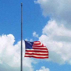 Meet your Posher, Noelle