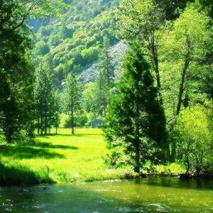 Meet your Posher, Allen