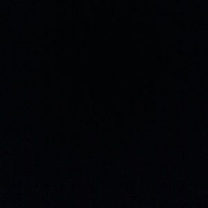 Meet your Posher, Trisha