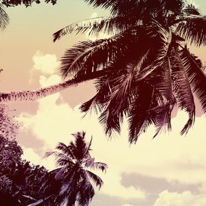 Meet your Posher, Tevin