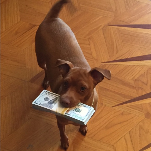 Meet Your Posher ❤️ - Picture 4 of 4