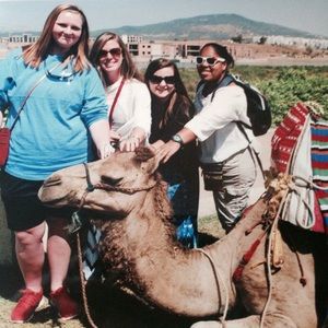 Meet your Posher, Haydn