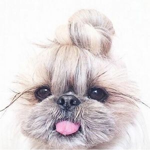 Meet your Posher, Maritza