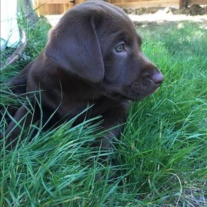 Meet your Posher, Tina