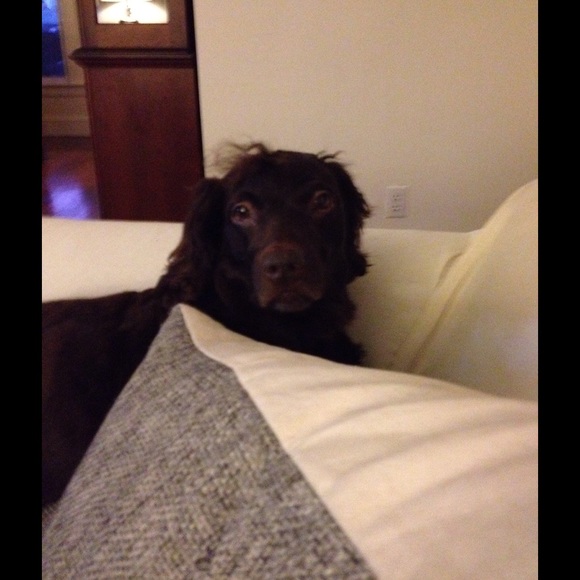 Hi! I'm Kelly. - Picture 4 of 4