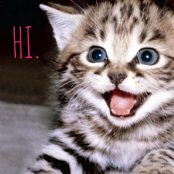 Nice to meet you. - Picture 2 of 4